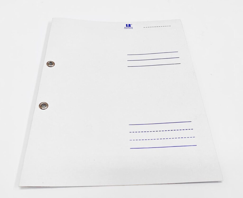 Skoroszyt oczkowy 1/1